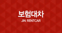 보험대차